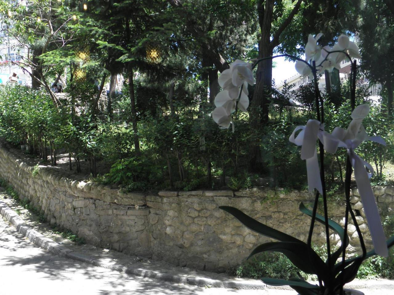 Nuevas Suites İstanbul Dış mekan fotoğraf